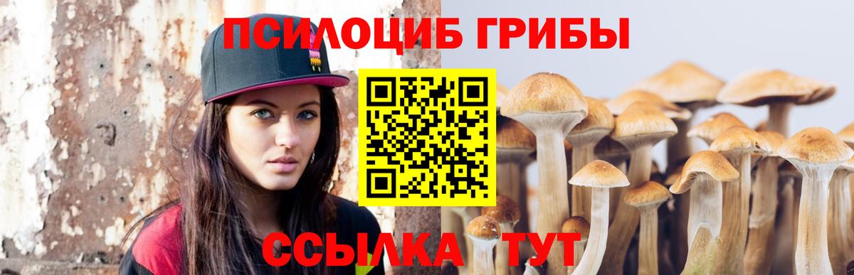 Советск  Галлюциногенные грибы мухоморы  Вход с VPN  Галлюциногенные грибы ЛСД 